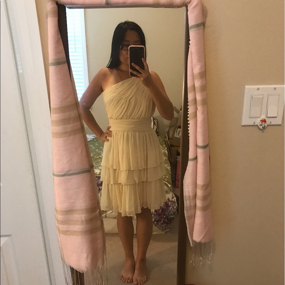 🎉🎉SALE🎉🎉BCBG max and Cleo dress