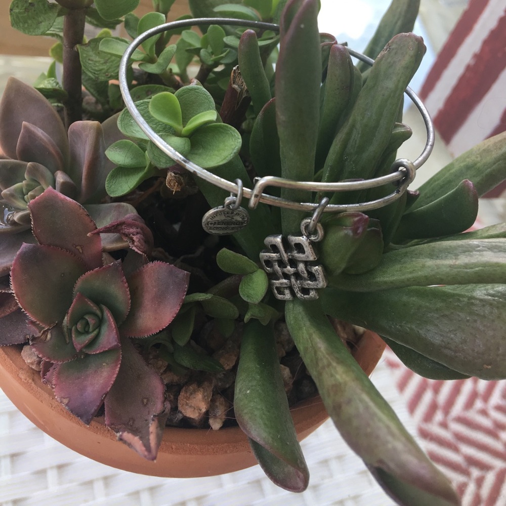 1 HR sale authentic ALEX & ANI BRACELET