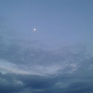 Meet your Posher, Francisca