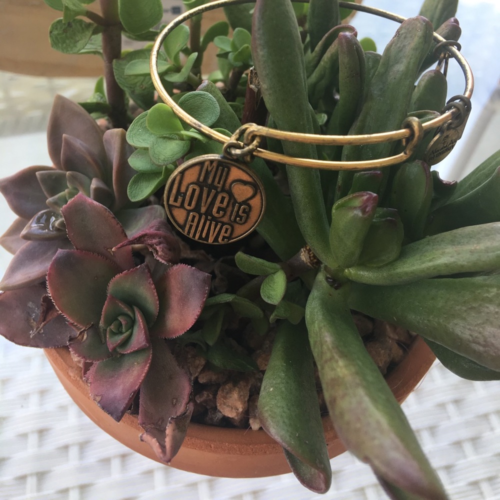 1HR SALE AUTHENTIC ALEX  & ANI MY LOVE IS ALIVE