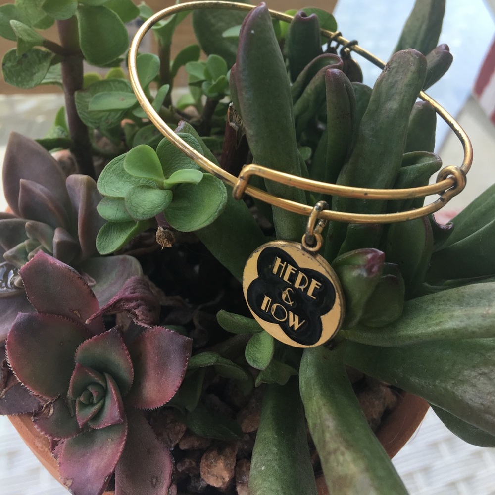 1 HR SALE AUTHENTIC ALEX & ANI HERE AND NOW