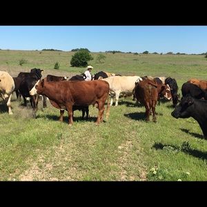 Meet your Posher, Janet