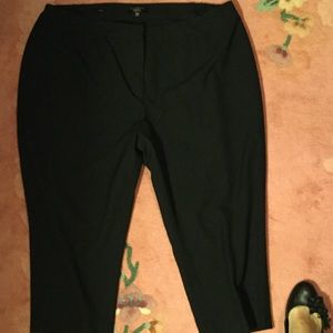 Talbots dress crop pants 20 WP
