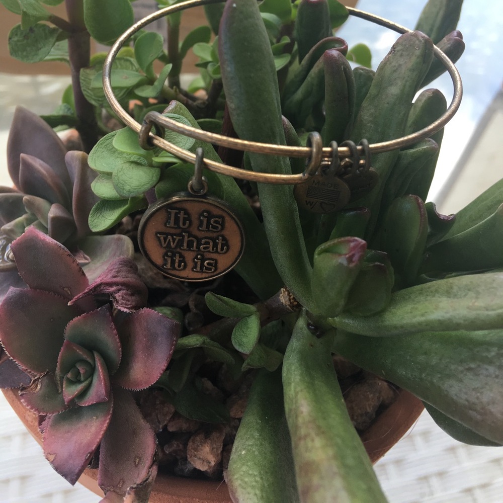 1 HR SALE AUTHENTIC ALEX & ANI IT IS WHAT IT IS