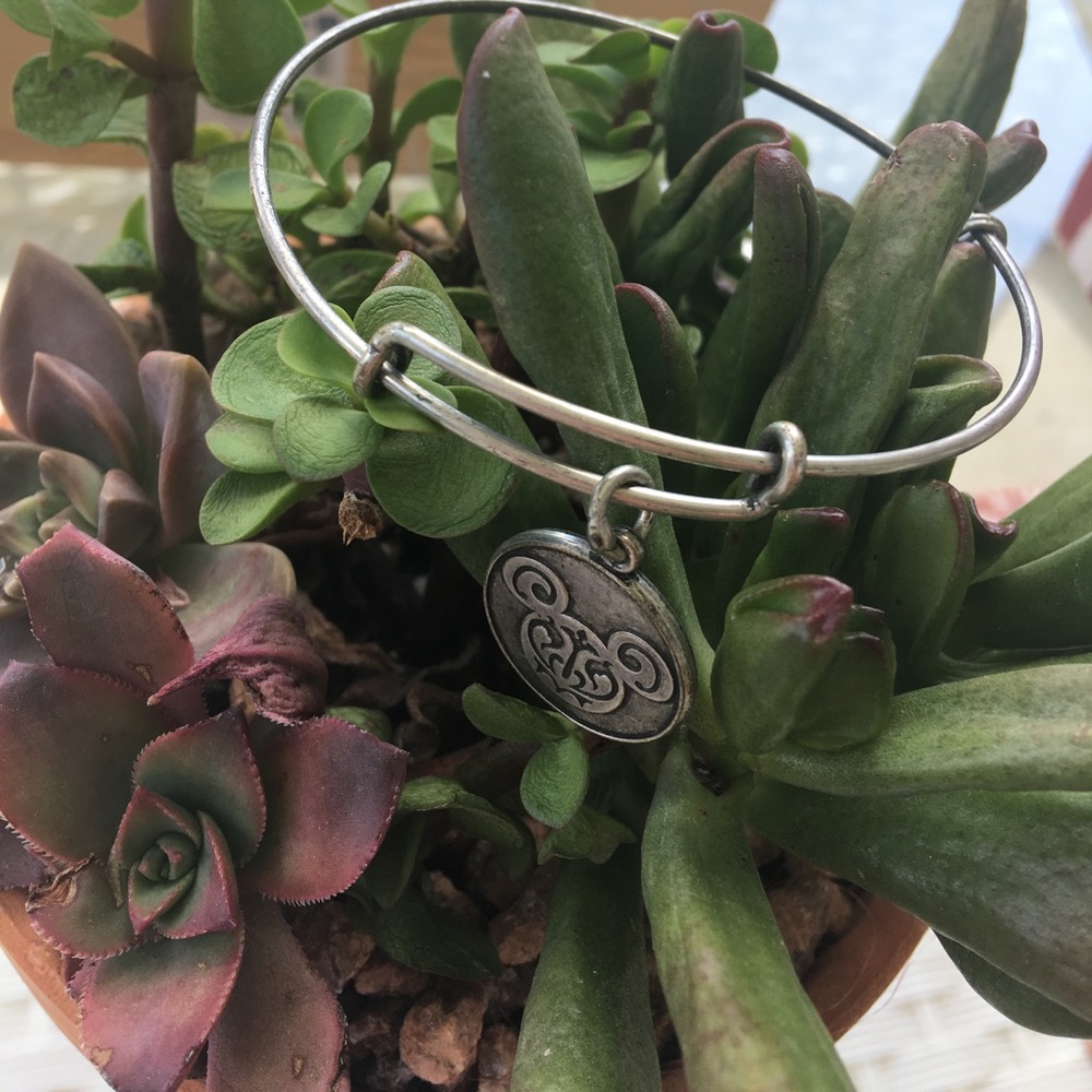 1 HR SALE AUTHENTIC ALEX & ANI DISNEY LIMITED EDIT