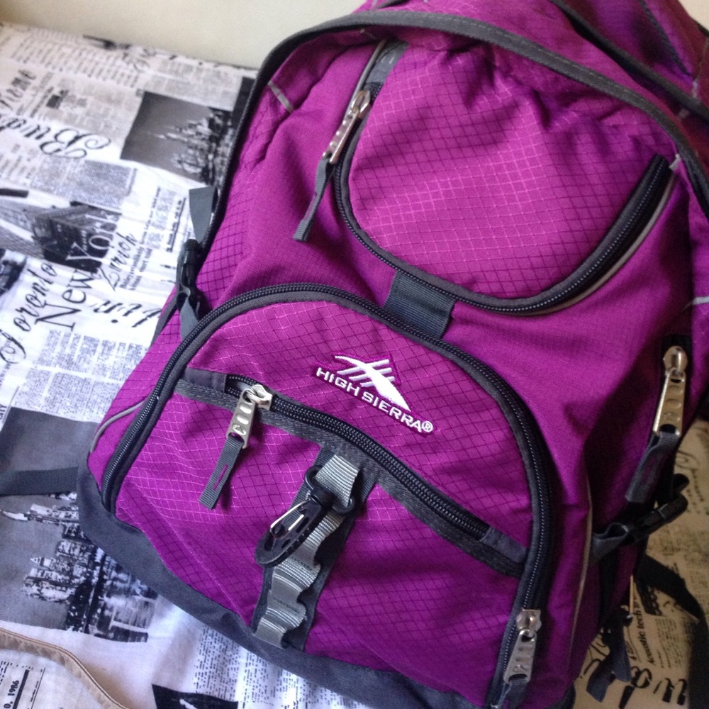 High series berry backpack