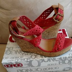 Bongo Coral Wedges