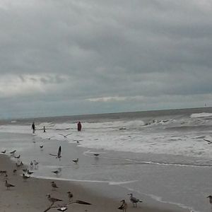 Meet your Posher, Regina