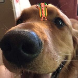 Meet your Posher, Alec