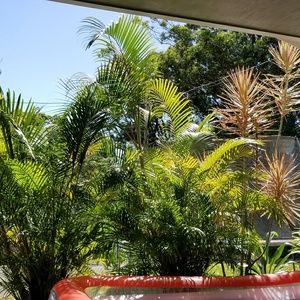 Meet your Posher, Chester