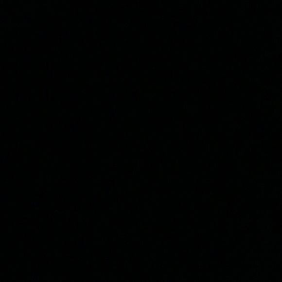 Meet your Posher, Rico - Picture 1 of 1