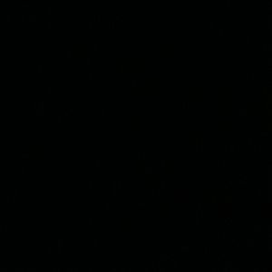 Meet your Posher, Rico