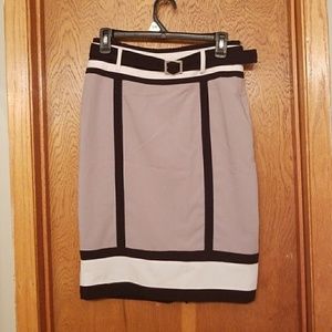 Colorblock skirt