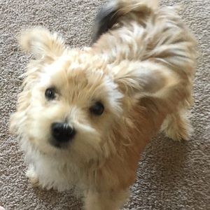 Meet your Posher, Tina