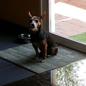 Meet your Posher, Diego