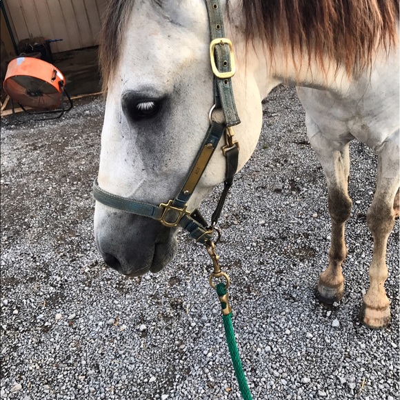 Meet your Posher, Caitlin - Picture 1 of 1