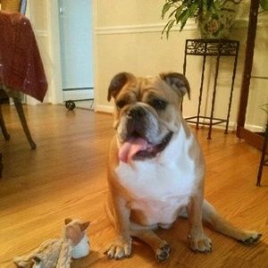 Meet your Posher, Whitney