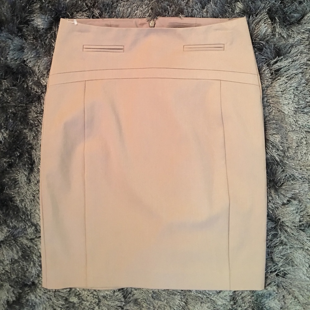 Express Pencil Skirt