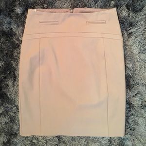 Express Pencil Skirt