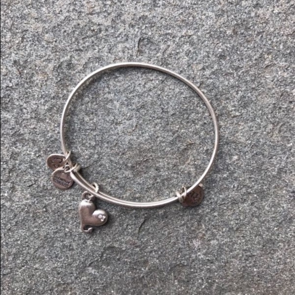 NWOT Alex and Ani Heart Charm Bangle
