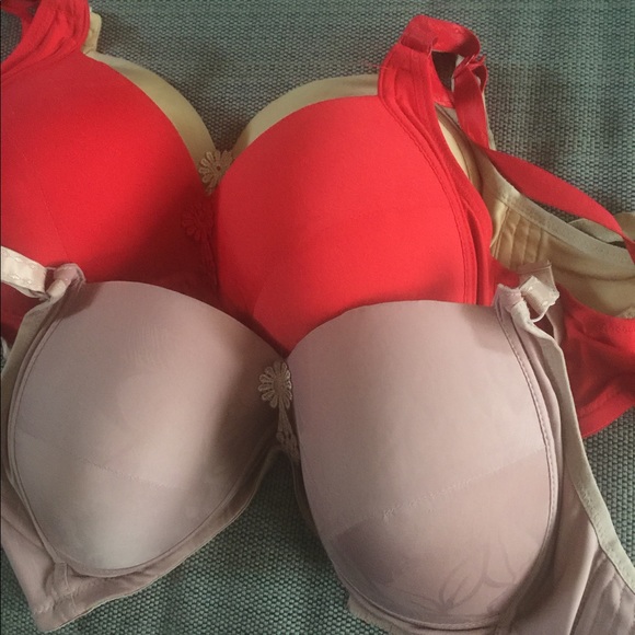 🛒FIRM! Set of 3- Bras Sz. 36D - Picture 1 of 1