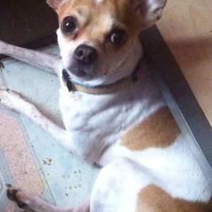 Meet your Posher, Christopher