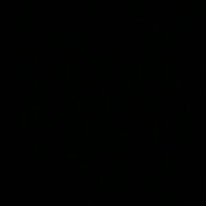 Meet your Posher, Faith