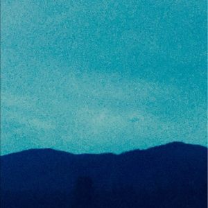 Meet your Posher, Lexi