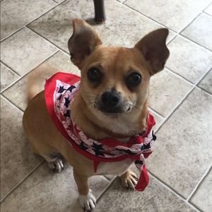 Meet your Posher, Dana