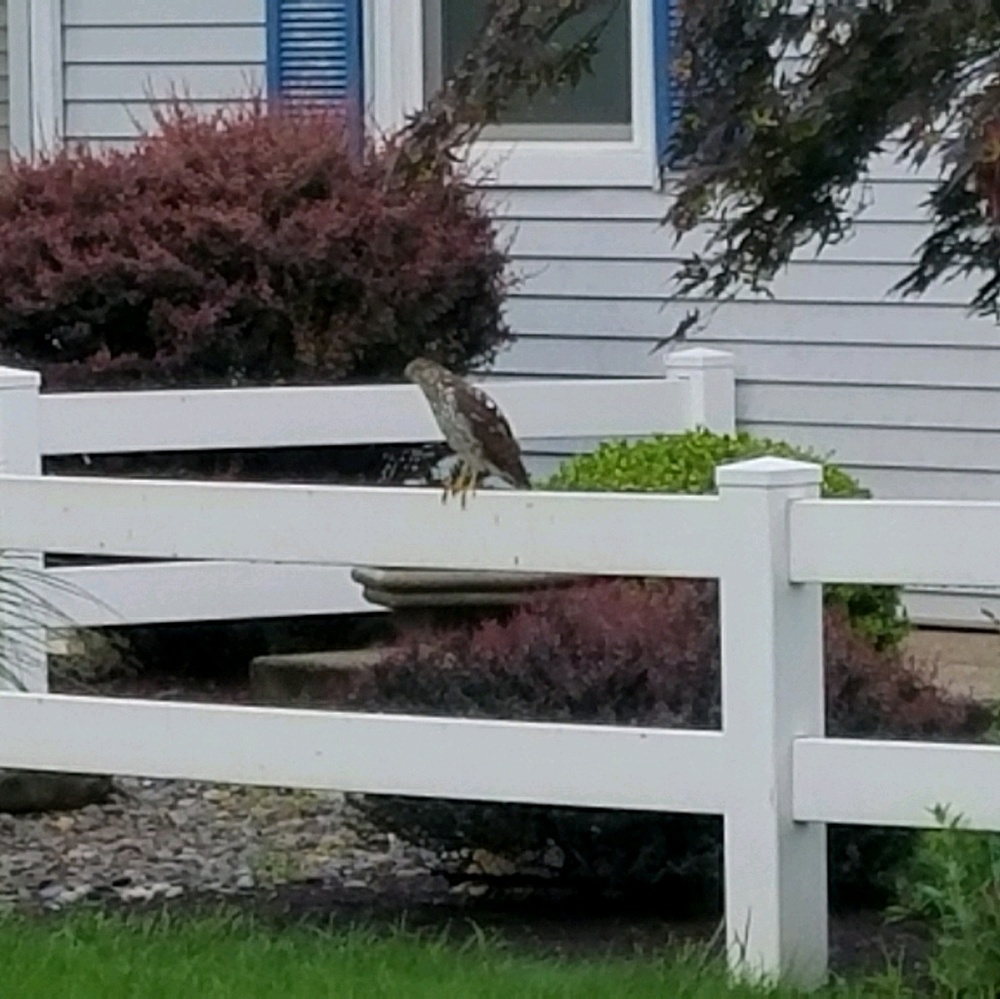 Meet your Posher, Gem