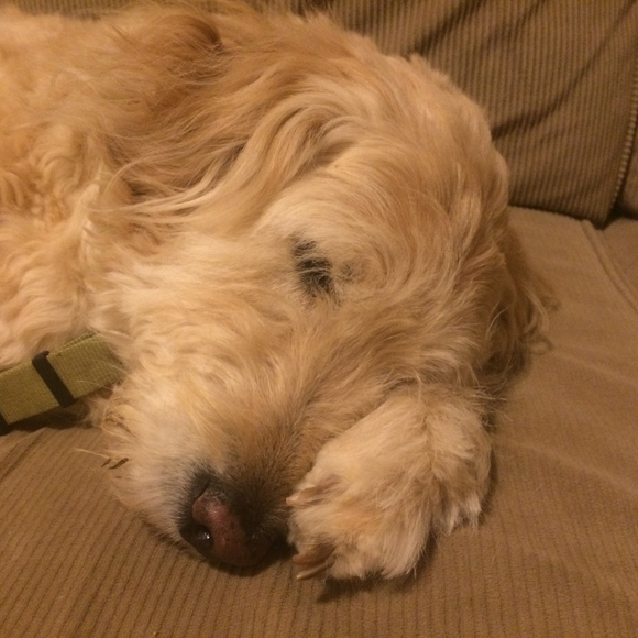 ABOUT ME! - Picture 2 of 3