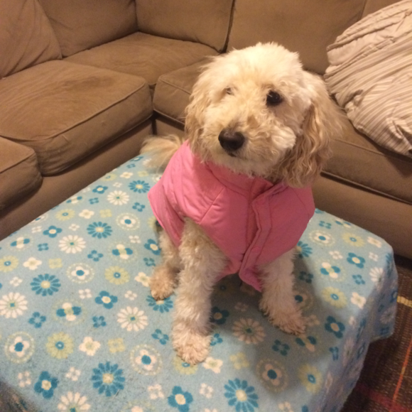 ABOUT ME! - Picture 3 of 3