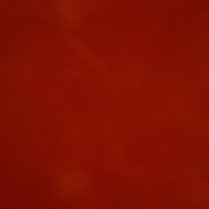 Meet your Posher, Kenneth