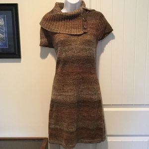 Adorable Sweater Dress