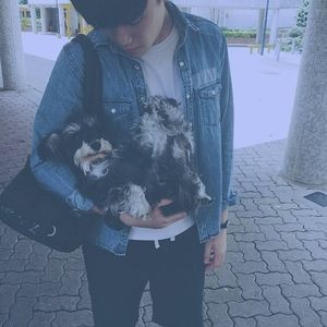 Meet your Posher, Tszho