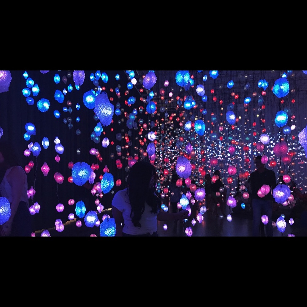 Meet your Posher, Katherine