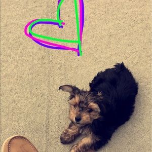 Meet your Posher, Ashley