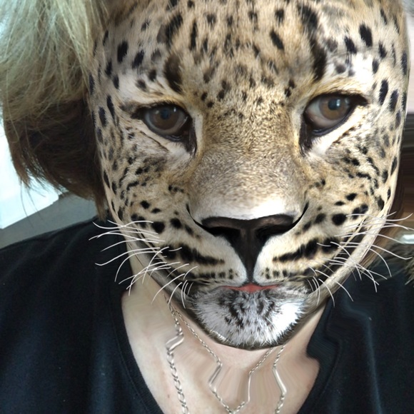 Meet your Posher, Jude - Picture 1 of 1