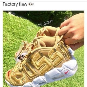 Meet your Posher, Leo