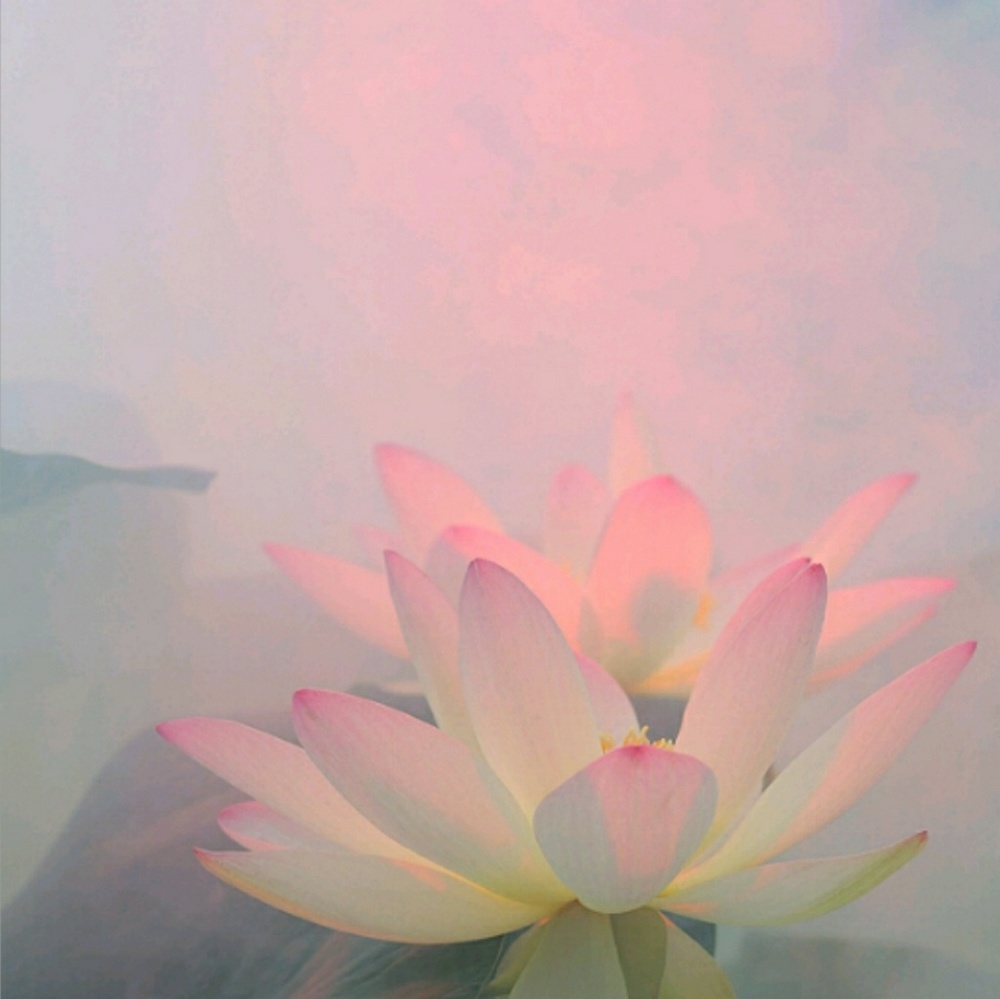 Meet your Posher, Ufon