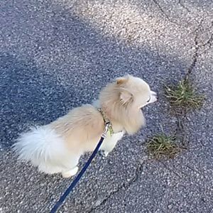 Meet your Posher, Judy