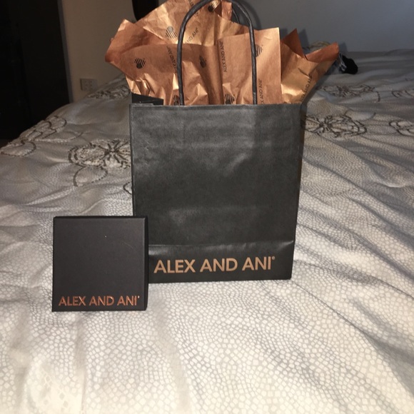 Alex and Ani Other - Alex and Ani box and bag with tissue paper