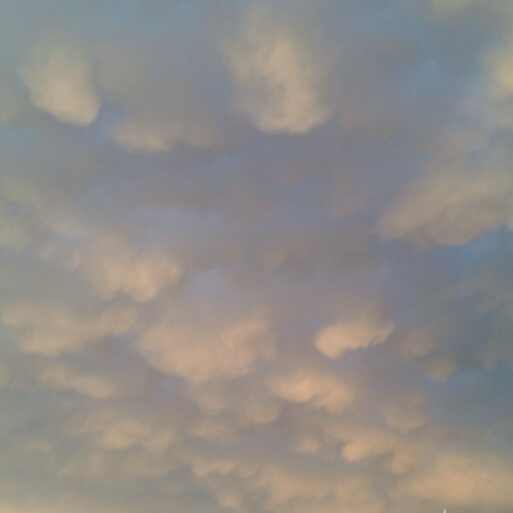 Meet your Posher, Gianna