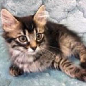 Meet your Posher, Dave