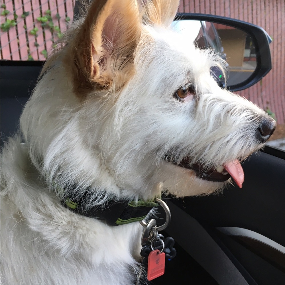 Meet your Posher, Susan