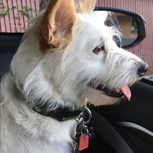 Meet your Posher, Susan