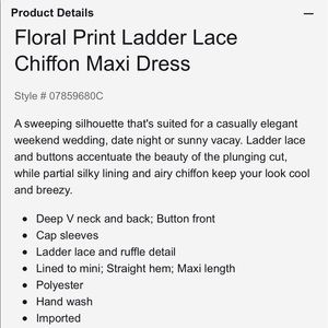 Express Dresses - Express floral ladder lace chiffon maxi dress Express Dresses - Express floral ladder lace chiffon maxi dress
