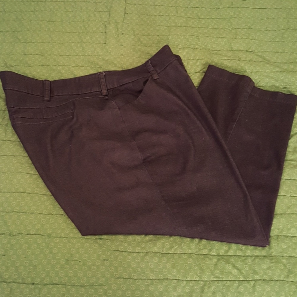 Plus size "curvy fit" Lee pants - PETITE