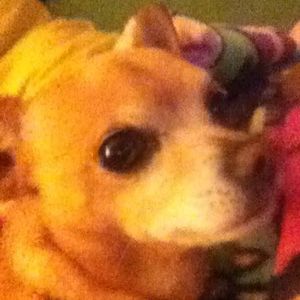 Meet your Posher, Elsa