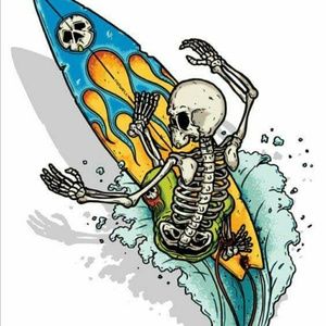 Meet your Posher, Judy